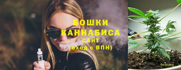 мдпв Навашино