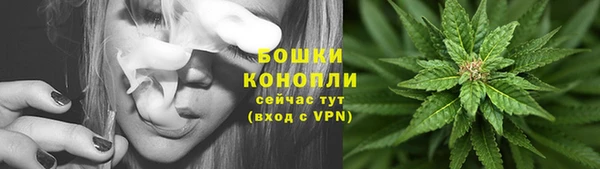 мяу мяу мука Беломорск