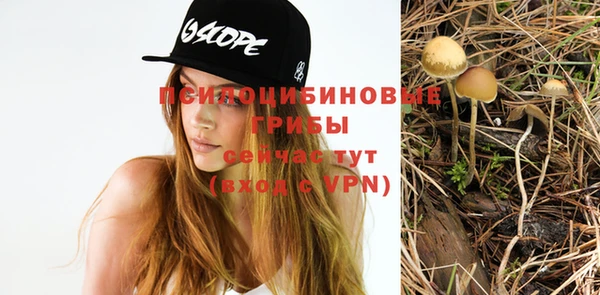 ECSTASY Михайловск