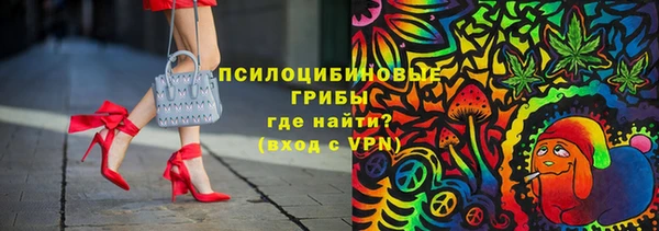 мдпв Навашино